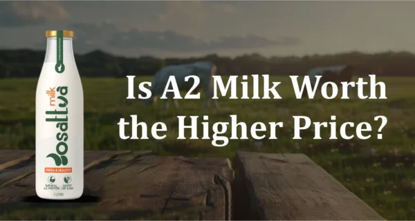 Gosattva August Blog Image is a2 milk worth the higher price